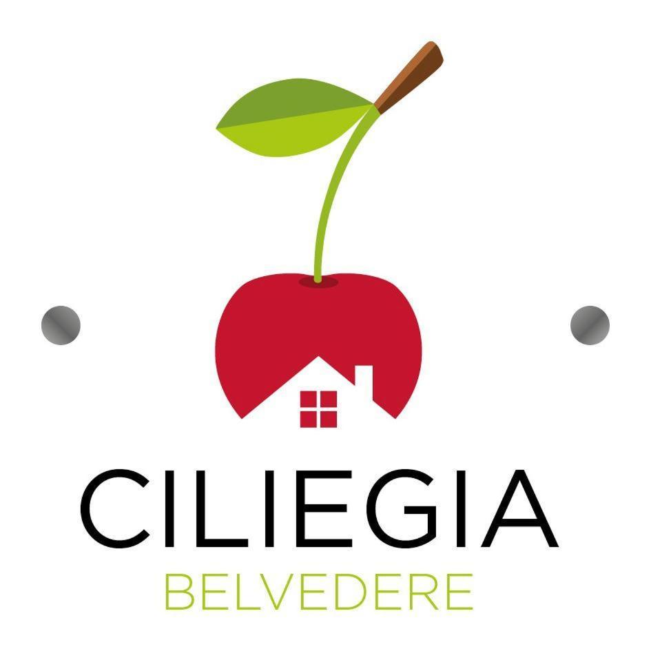 Ciliegia Di Lari - Attico Villa Bagian luar foto