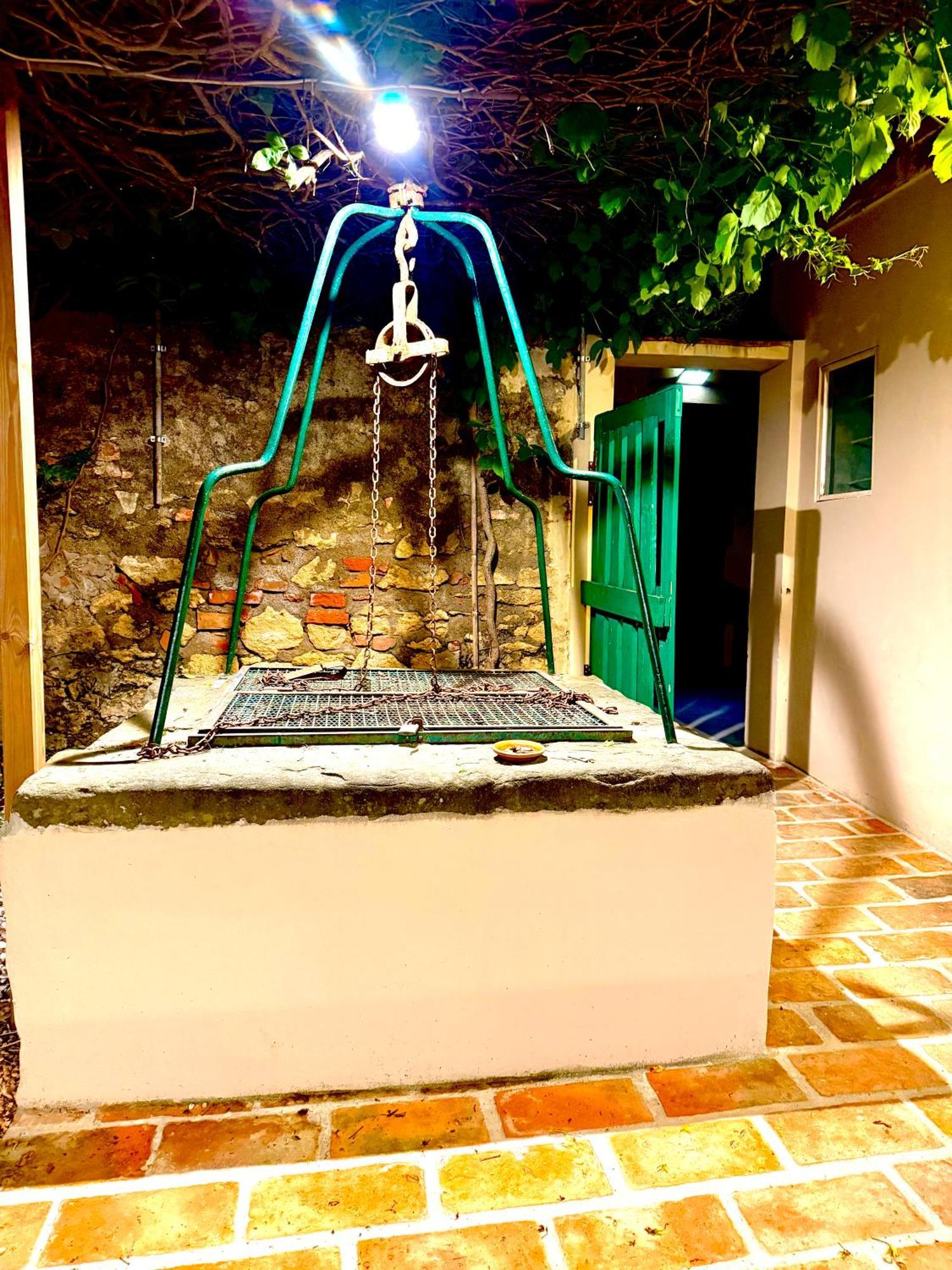 Ciliegia Di Lari - Attico Villa Bagian luar foto
